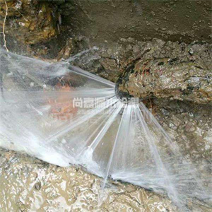 麻洋镇消防管道漏水检测